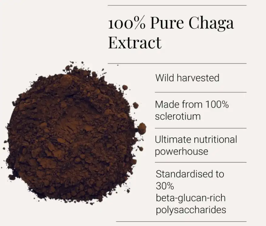 Chaga Mushroom Extract Powder supplier