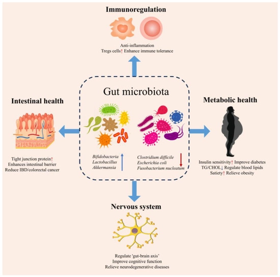 Konjac Glucomannan for Intestinal
