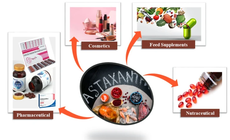 Natural vs Synthetic Astaxanthin
