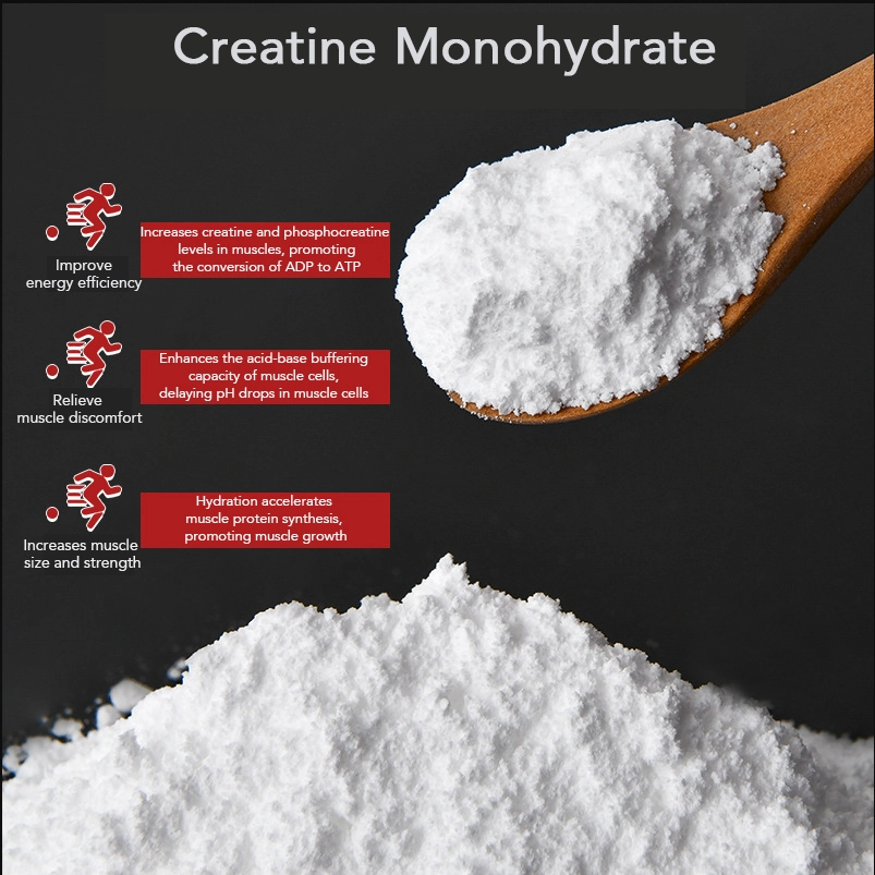 Creatine monohydrated powder benefits