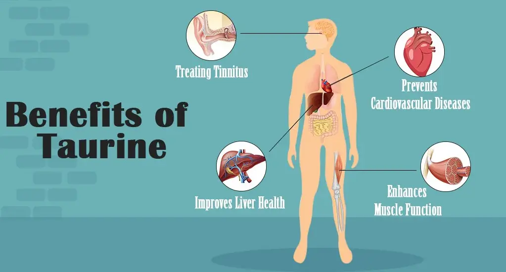 bulk Taurine powder benefits