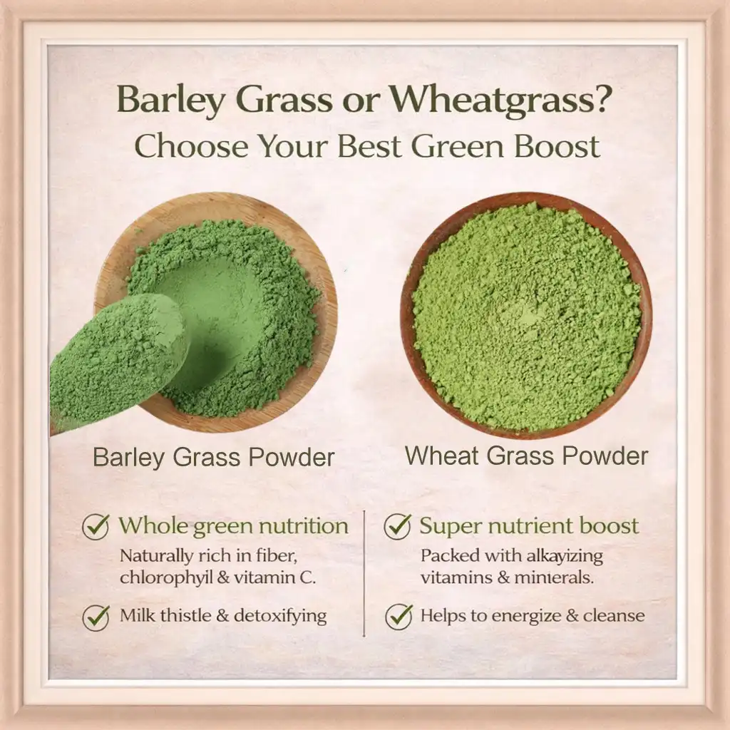 Wheatgrass Powder and Barley Grass Powder