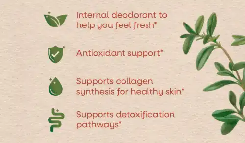 oil soluble Chlorophyll benefits for skin oil soluble Chlorophyll benefits for skin