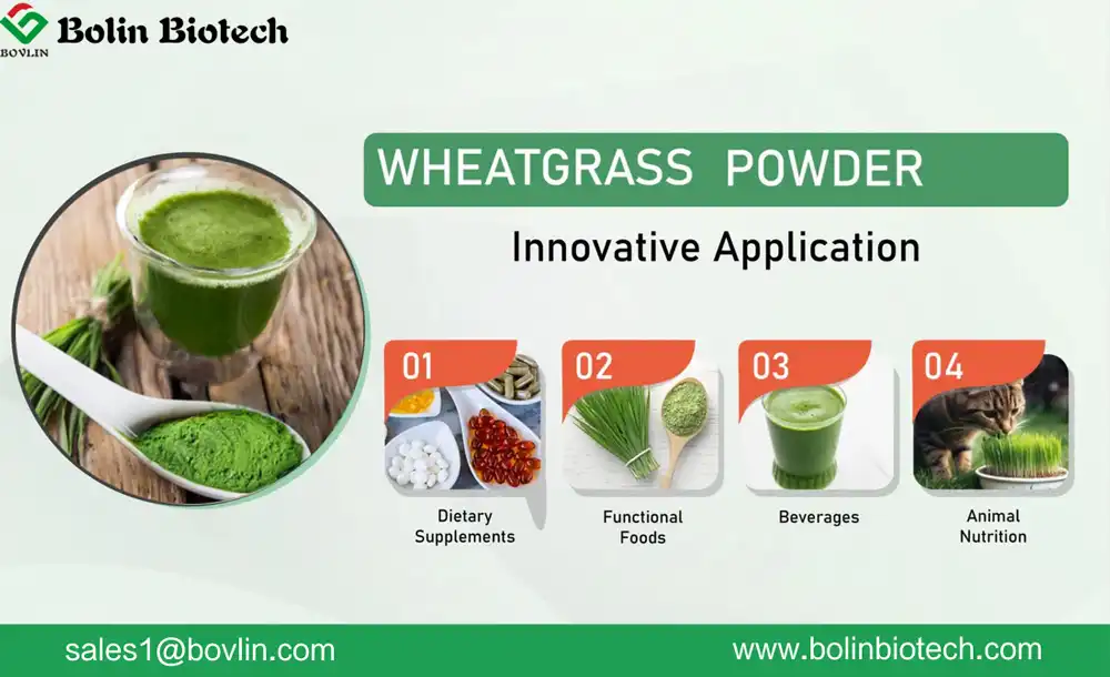 Organic Wheatgrass Powder applications
