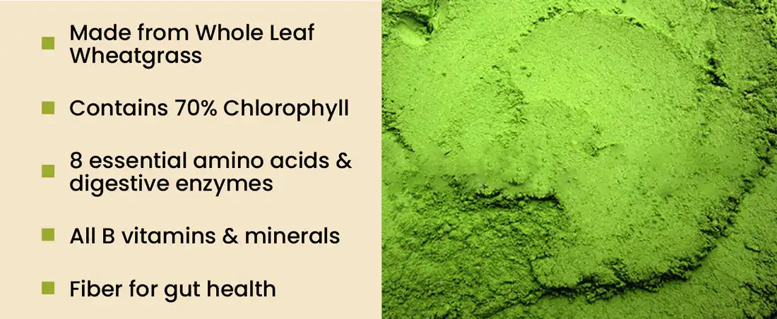 organic wheatgrass powder supplier