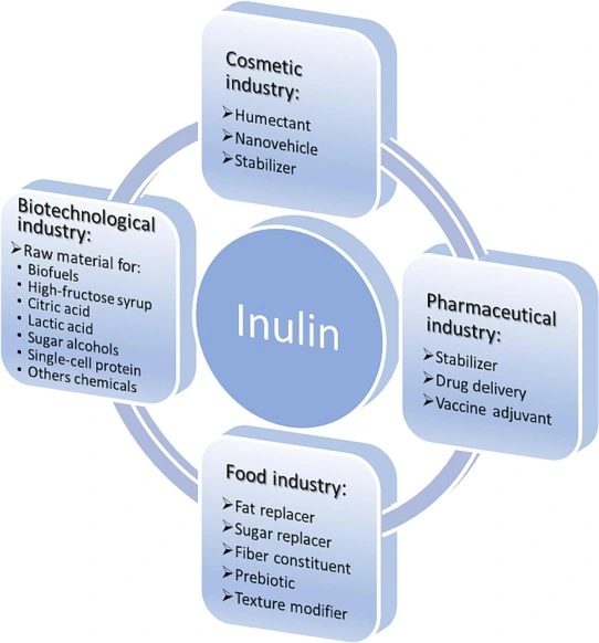 inulin powder application