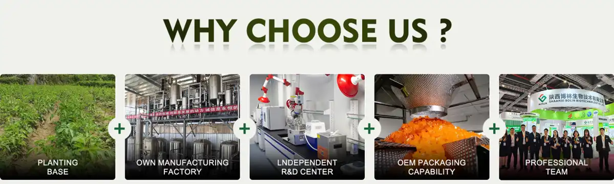 buy yucca root extract 