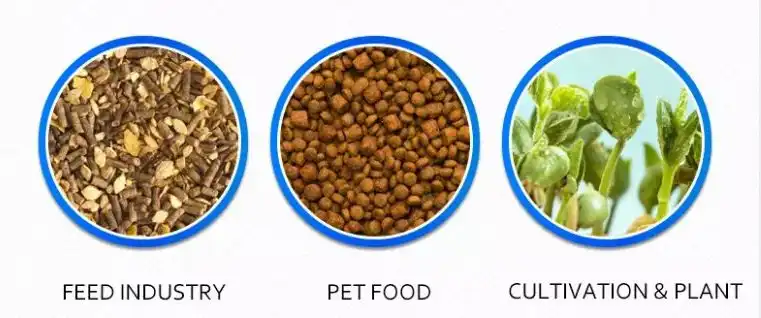 application of yucca root extract