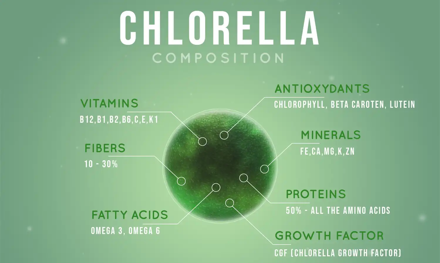 Best Chlorella Powder composition