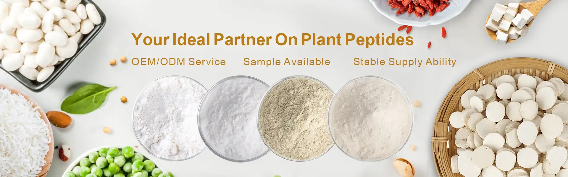 Hydrolyzed Wheat Protein powder supplier