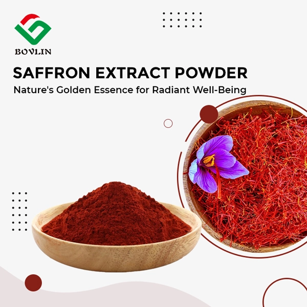 Saffron extract powder Saffron extract powder