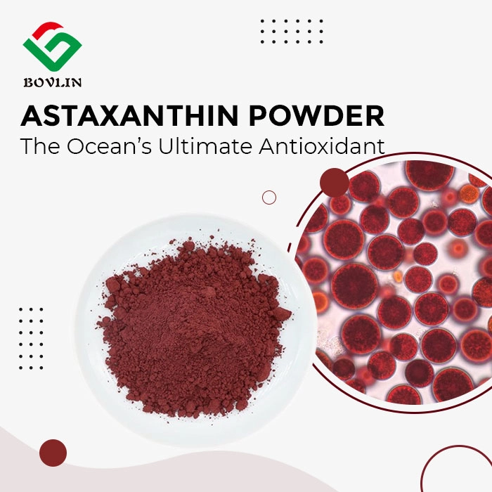 Astaxanthin Powder
