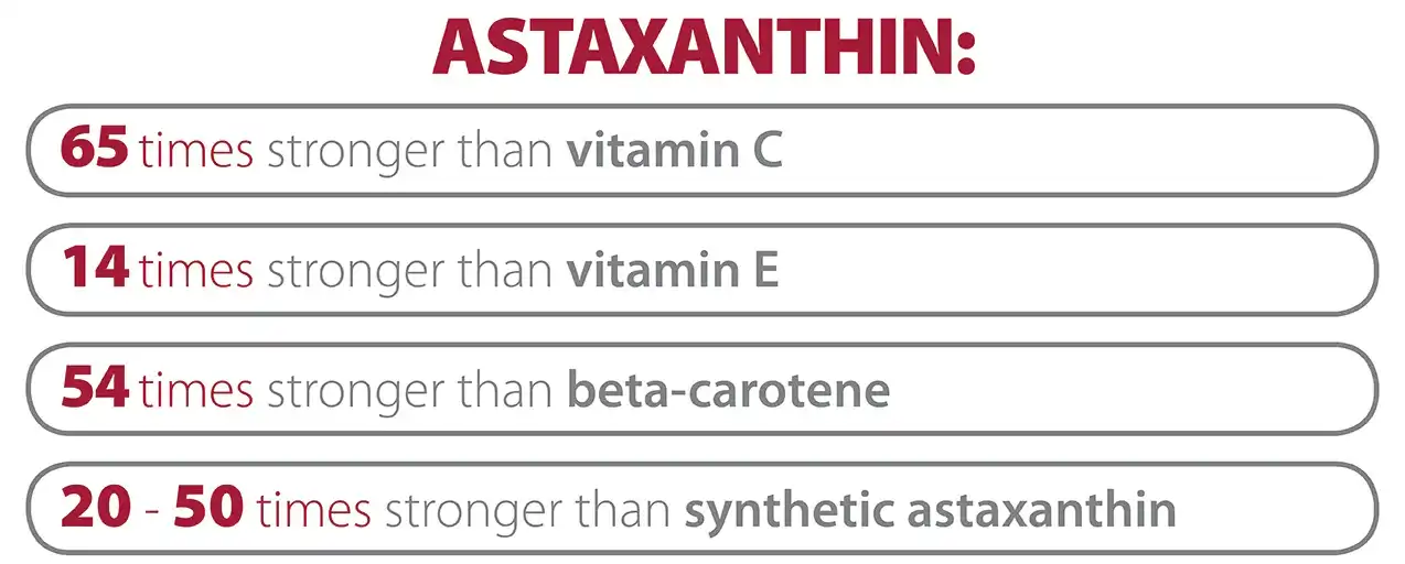 Natural Astaxanthin Powder  Benefits