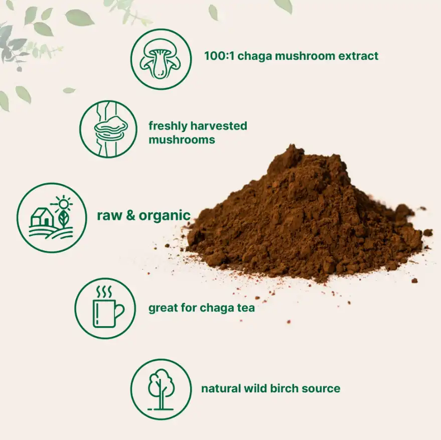 chaga mushroom extract supplier chaga mushroom extract supplier