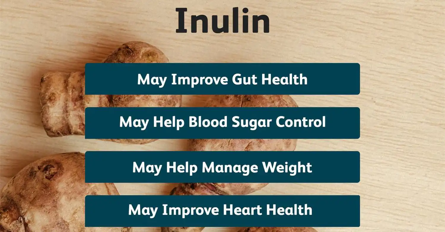 Bulk Inulin Powder benefits Bulk Inulin Powder benefits