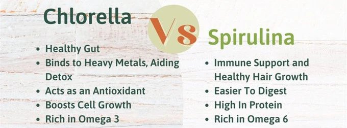 chlorella powder vs spirulina powder