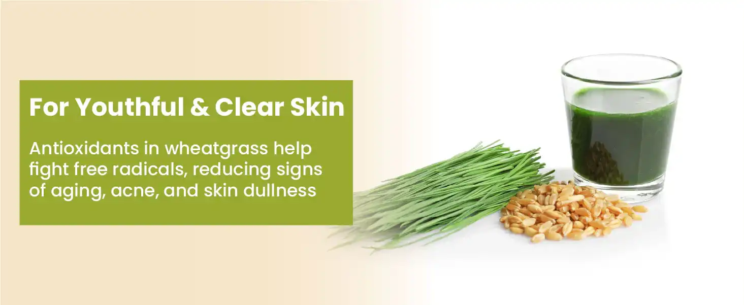 wheatgrass powder for peronal care