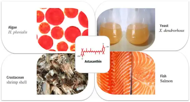 Astaxanthin Source