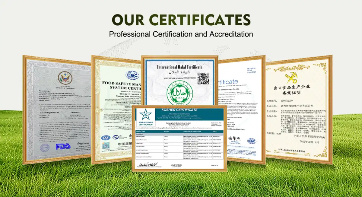 inulin powder certificate