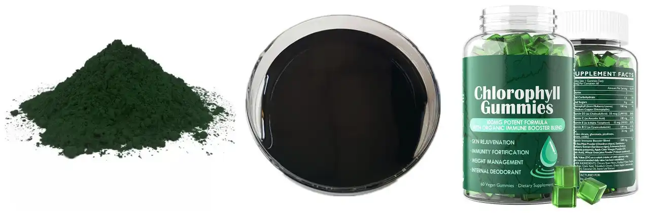 oil soluble chlorophyll supplier