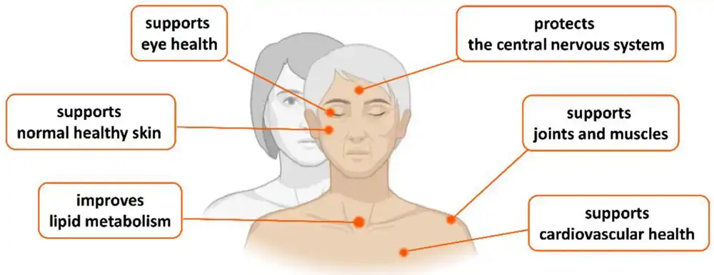 Astaxanthin benefits