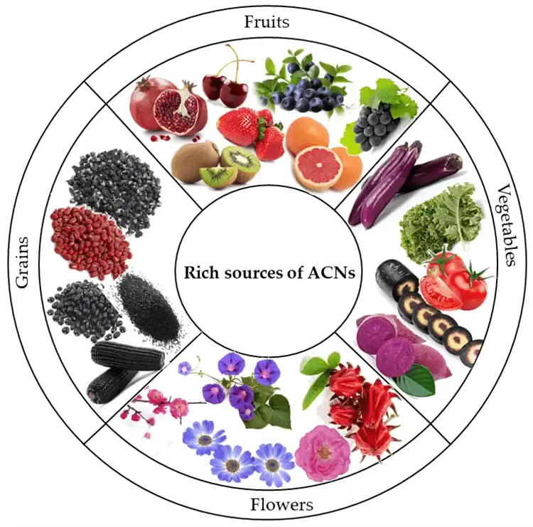 Anthocyanin Powder source