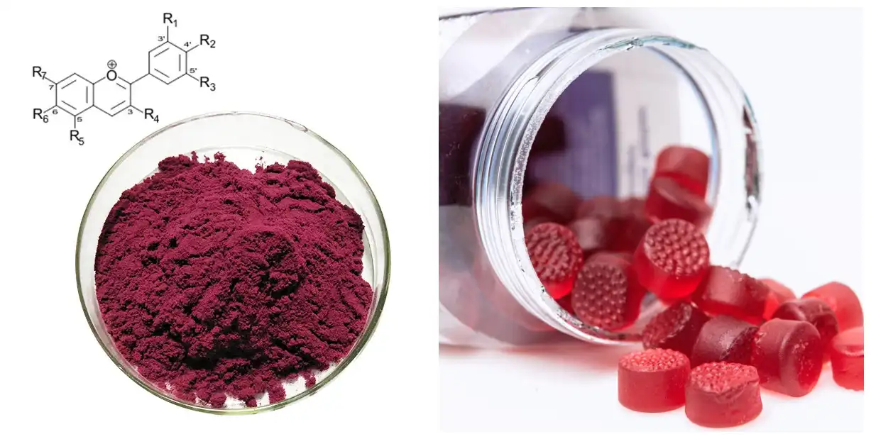Anthocyanin Powder to gummies Anthocyanin Powder to gummies