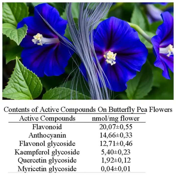 butterfly pea flower powder