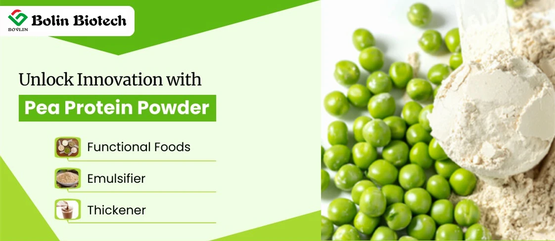 pea protein powder application