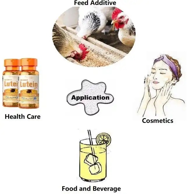 lutein powder application lutein powder application