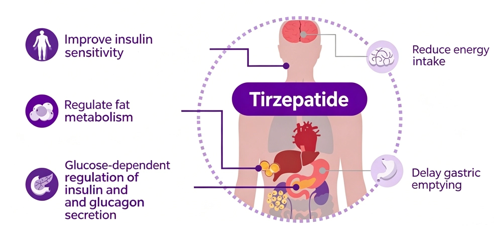 how does Tirzepatide work? how does Tirzepatide work?