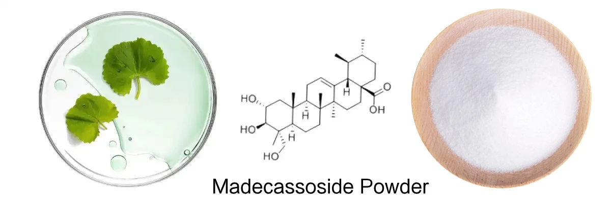 Madecassoside Powder