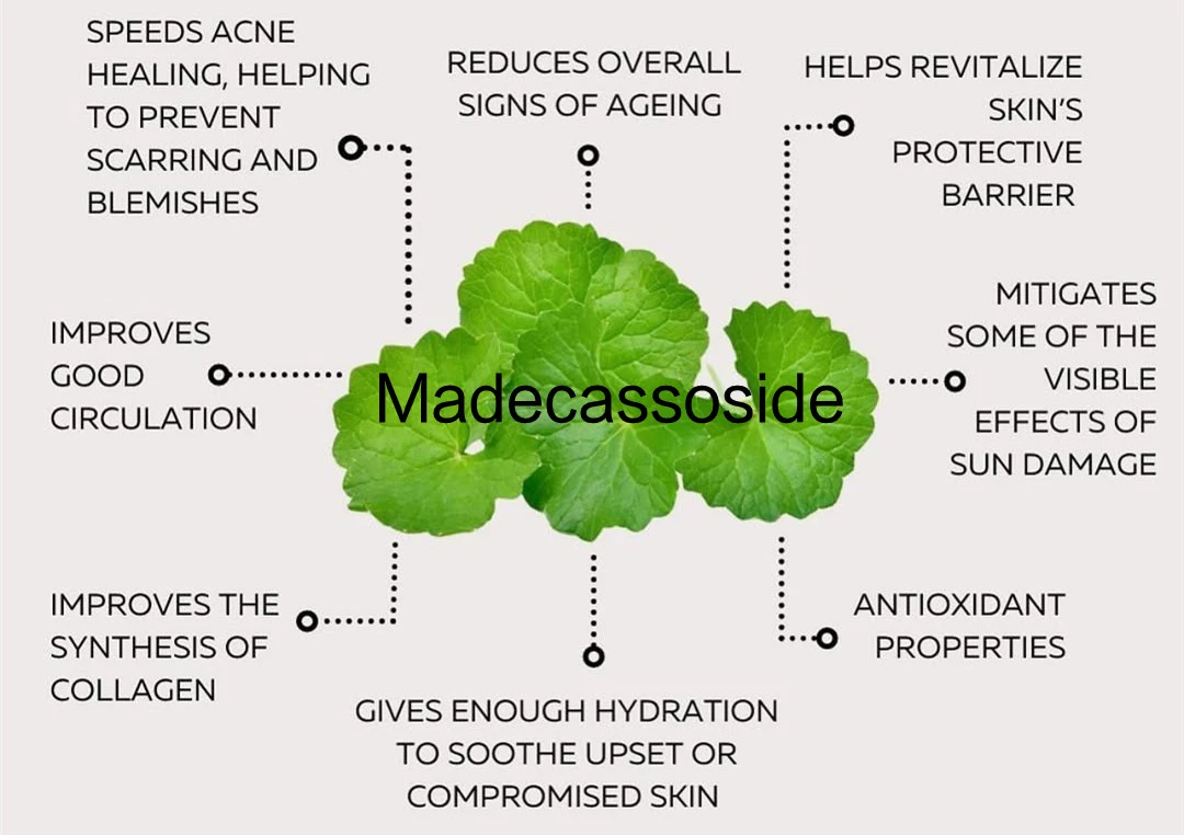 Madecassoside powder benefits