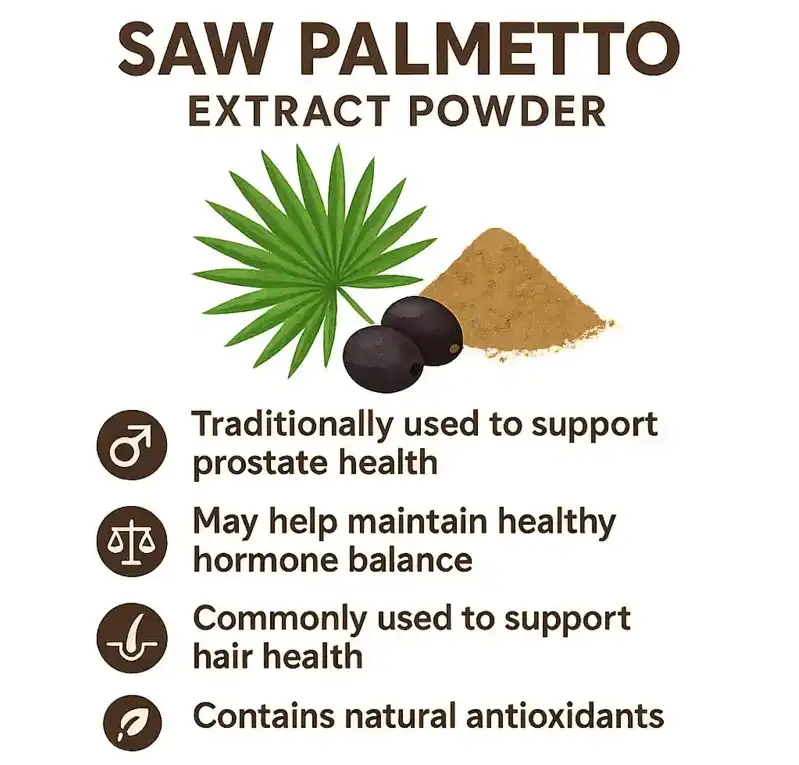 Saw Palmetto Extract benefits Saw Palmetto Extract benefits