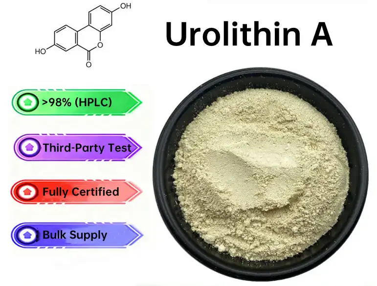 Urolithin A  supplier