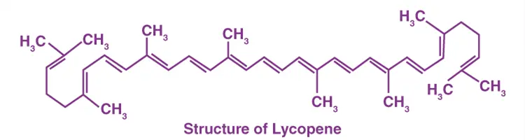 Lycopene powder Lycopene powder