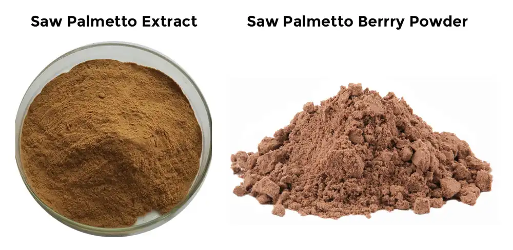 Saw Palmetto Extract powder