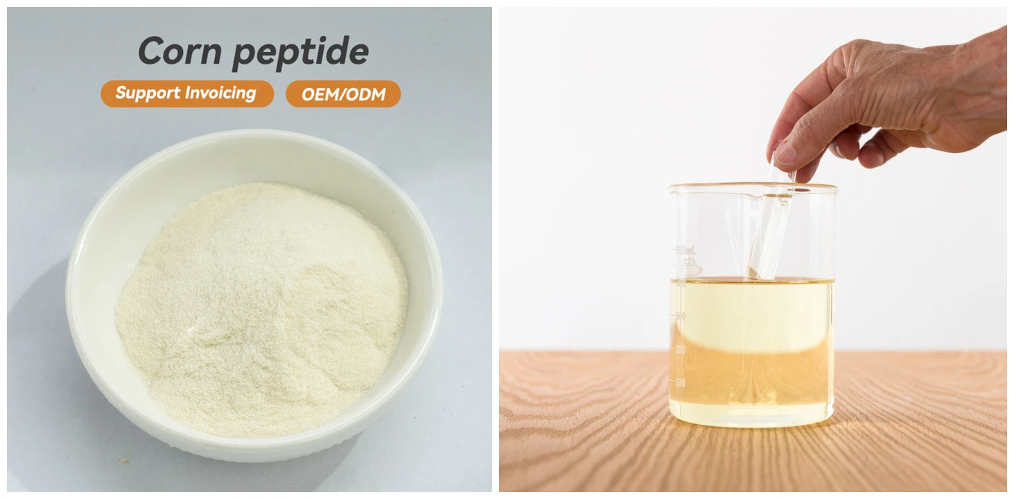 Hydrolyzed Corn Protein Powder Hydrolyzed Corn Protein Powder