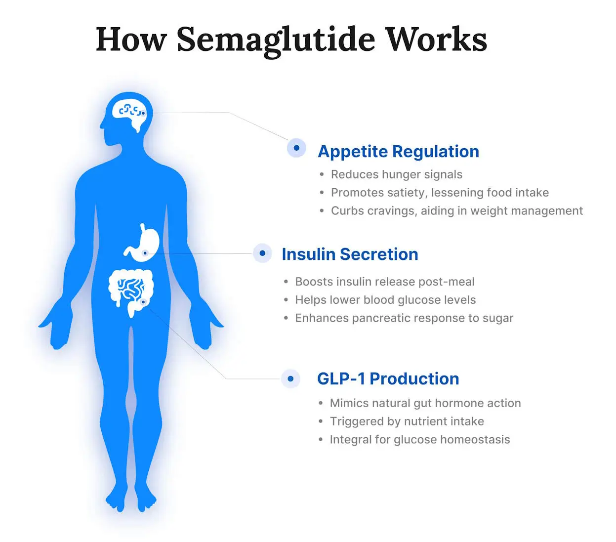 Semaglutide mechanism