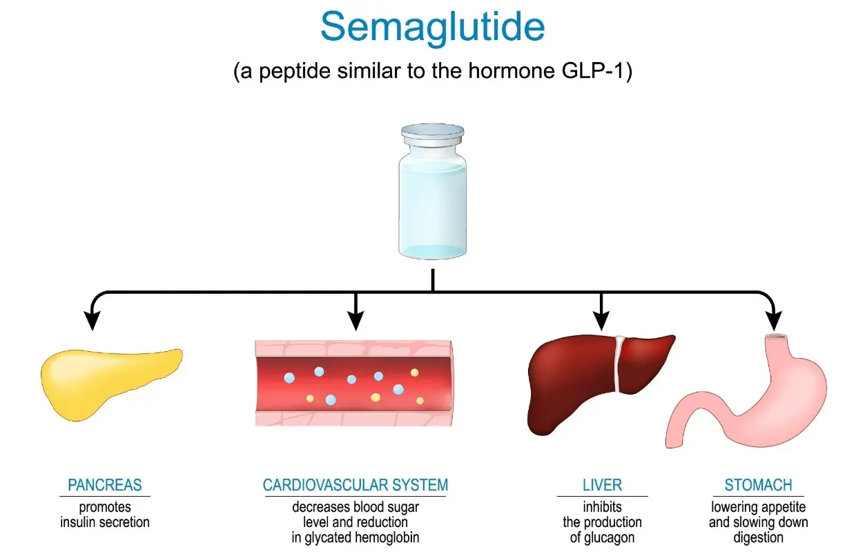 Semaglutide powder benefits Semaglutide powder benefits