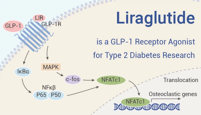 Liraglutide powder Liraglutide powder