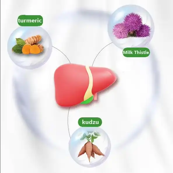 milk thistle extract supplier