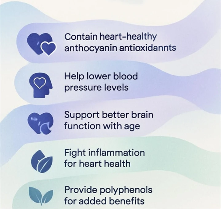 Anthocyanins powder benefits