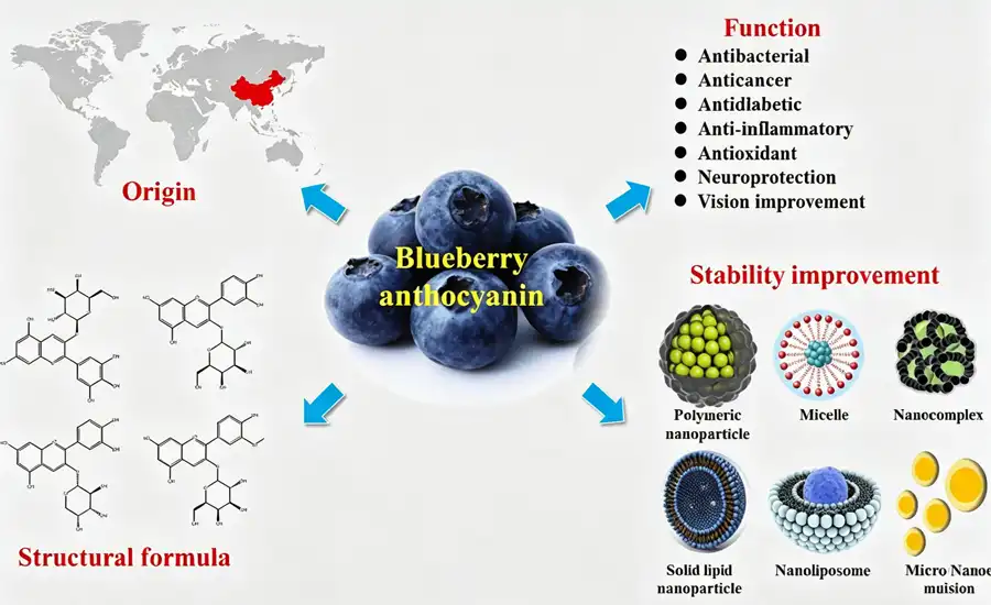 Anthocyanin Powder benefits Anthocyanin Powder benefits