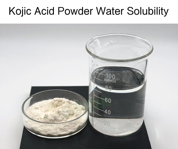 Kojic Acid Powder solubility