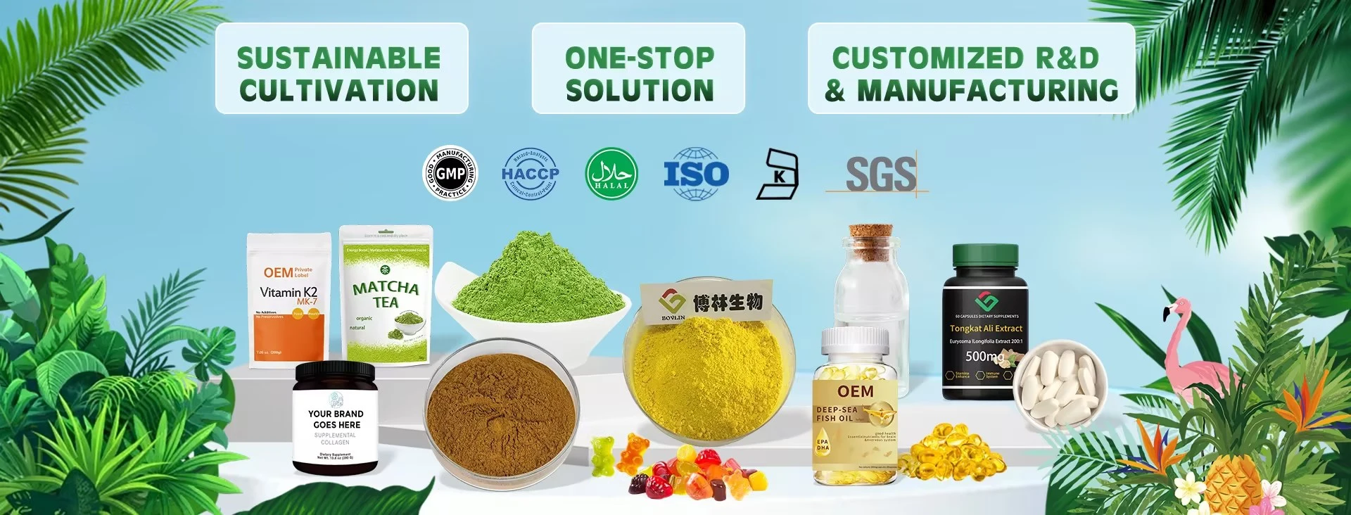 Kojic acid powder oem service Kojic acid powder oem service