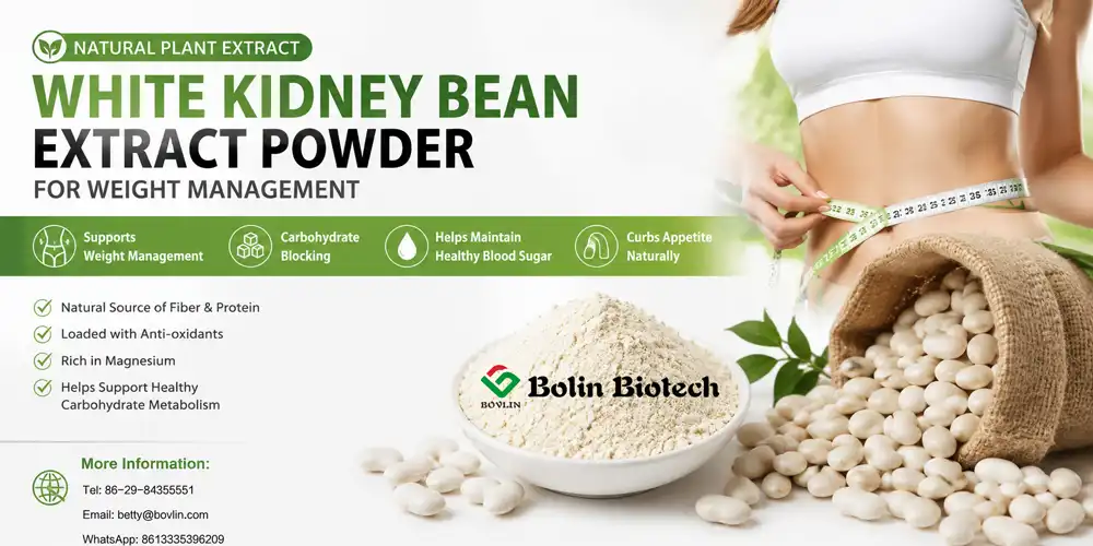 White Kidney Bean Extract supplier