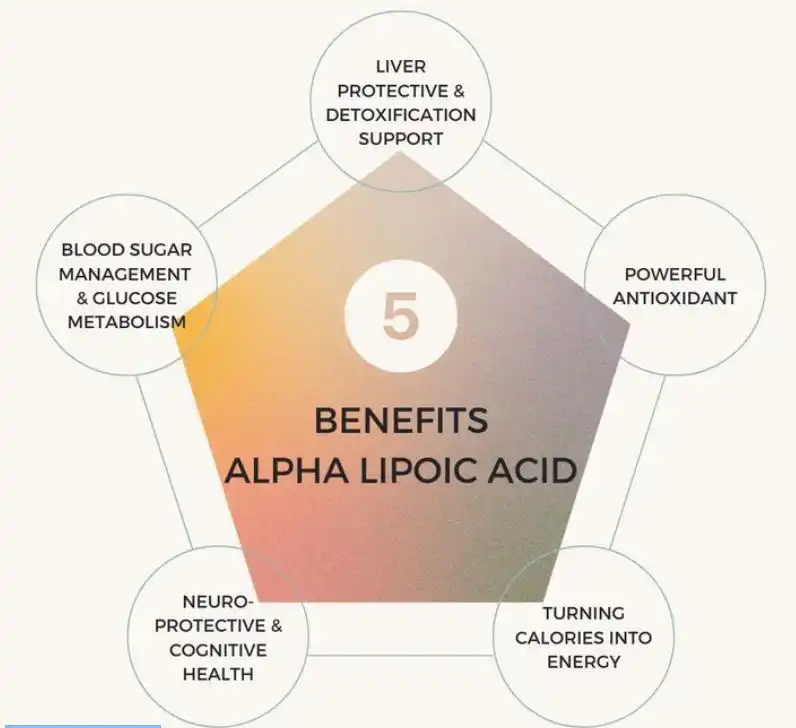 Alpha Lipoic Acid Bulk Powder benefits