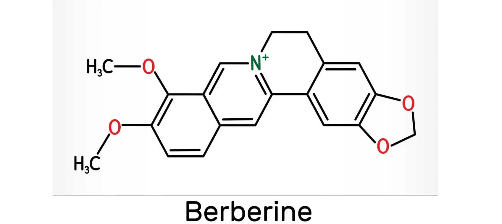 Berberine HCL Powder formula Berberine HCL Powder formula