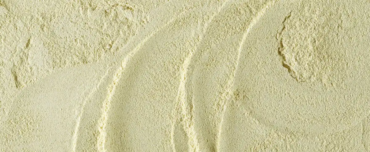 Alpha Lipoic Acid powder manufacturer Alpha Lipoic Acid powder manufacturer